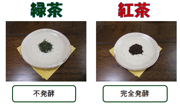 茶葉比較.gif