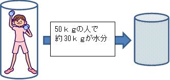 水分.jpgのサムネイル画像