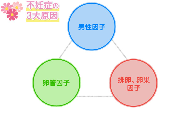 不妊症の３大原因