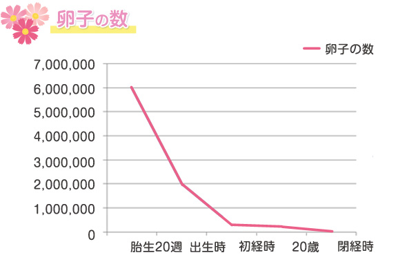 卵子の数