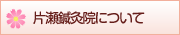 当院について