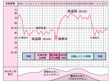 グラフ